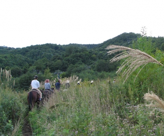 Paseo hacia la sierra.jpg